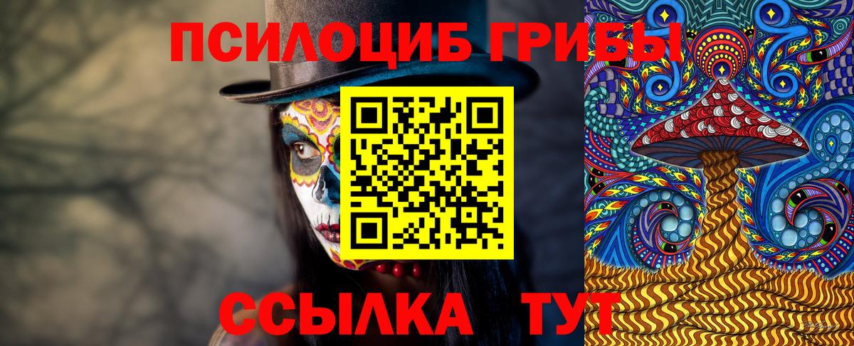 Псилоцибиновые грибы GOLDEN TEACHER  Вход с VPN  Сыктывкар 